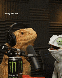 Cats Feels GIF by Darwin