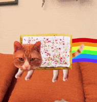 Not Listening Space Cat GIF