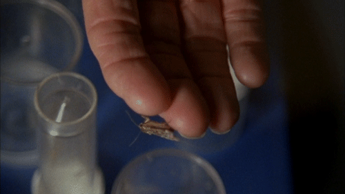 film documentary GIF
