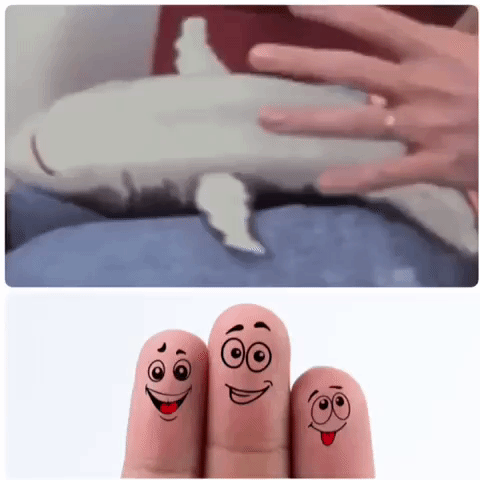 funny GIF by The Videobook