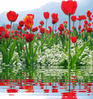 agua al GIF