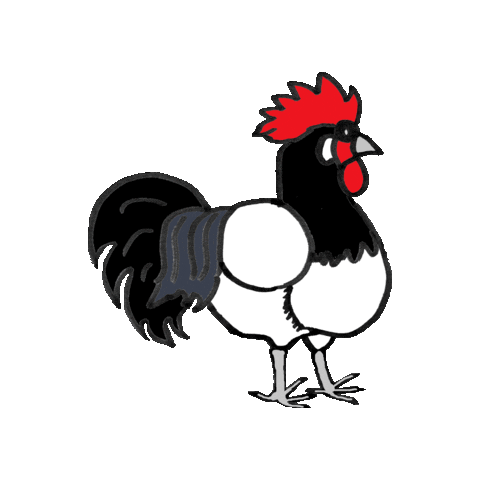 Rooster Chickens Sticker