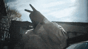 Rey Mysterio Dog GIF by M Huncho