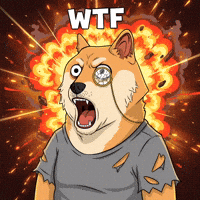 Shiba Inu Omg GIF by Doge Pound