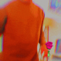 Vaseem GIF