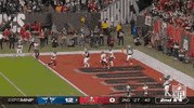 Nfl Playoffs Football GIF by NFL