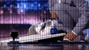 Simon Cowell Bunny GIF by America's Got Talent