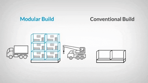 rogerlewis giphygifmaker GIF