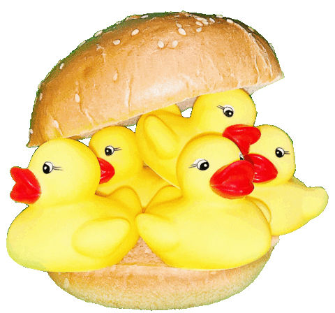 max164 giphyupload cool pop duck Sticker