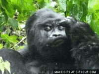 pulling GIF