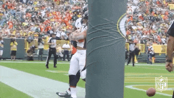 Regular Season Football GIF by NFL