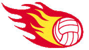 southcoastblaze blaze netball fastball southcoastblaze Sticker