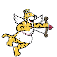 Flying Valentines Day Sticker by Towson University