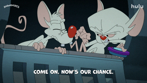 Pinky And The Brain Jump GIF by HULU