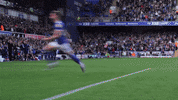 Ipswich Town Celebration GIF by Ipswich Town Football Club