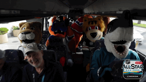 ice hockey sport GIF by NHL