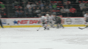 Black Bears GIF by Binghamton Black Bears