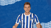 Bundesliga Heim GIF by Hertha BSC