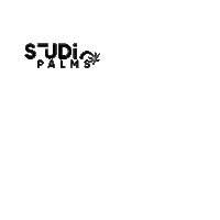 Photography Shooting Sticker by Two Palms