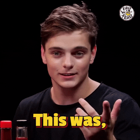 Martin Garrix Hot Ones GIF by First We Feast