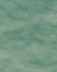 GIF by Chris