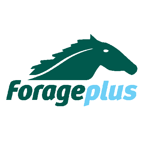 Brand Horse Sticker by Forageplus