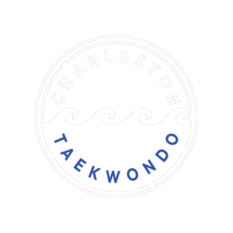 CharlestonTaekwondo giphygifmaker taekwondo charleston charlestontaekwondo Sticker