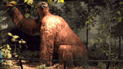 hawkeyes herky GIF by University of Iowa