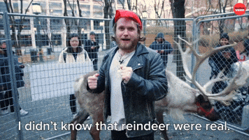 I Didn't Know That Reindeer Were Real