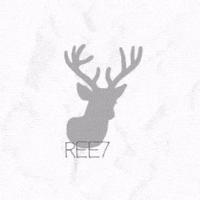ree7 ree7amsterdam GIF
