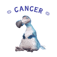 Cancer Star Sign Sticker by Dodo Australia