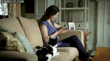 mobile phones cat GIF by Cheezburger