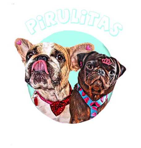 dog pug Sticker by Zeedog
