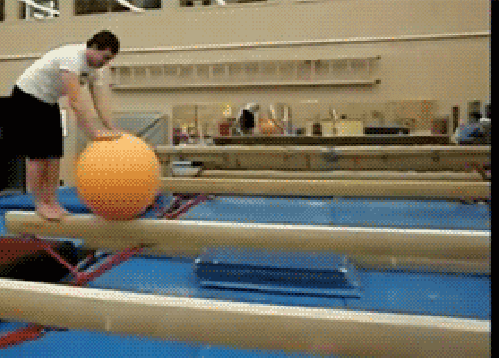 balance GIF