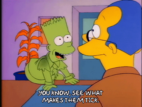Season 1 GIF by The Simpsons
