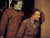 FlyingKiwiAngels  GIF