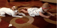 crawl GIF