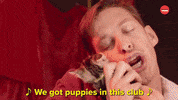 Party Puppy GIF by BuzzFeed