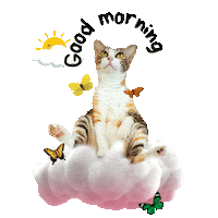 Good Morning Sunshine Sticker