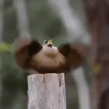 Baile GIF by Luis Ricardo