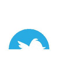 Logo Twitter Sticker by Csk Equipamientos