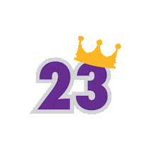 King James Basketball Sticker