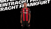 You Know Celebration GIF by Eintracht Frankfurt