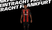 Lets Go Win GIF by Eintracht Frankfurt