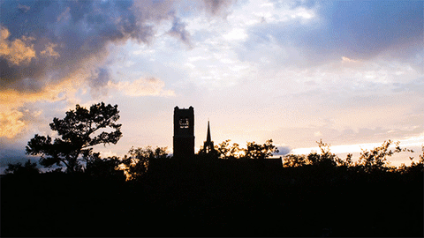 uf century tower GIF by University of Florida