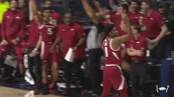 Celebrate College Basketball GIF by Arkansas Razorbacks
