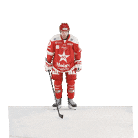 Stjernenalag Sticker by StjernenHockey