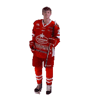 U18 Sticker by StjernenHockey