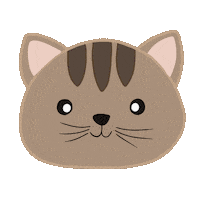 amorilustra cat cats pet tumblr Sticker