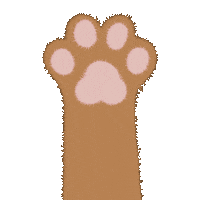 amorilustra cat cats pet tumblr Sticker